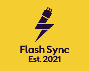 Electric Flash Drive logo design