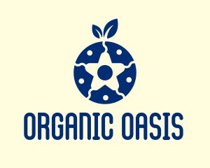 Organic Blueberry Star  logo design