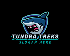 Shark Team Mascot logo design