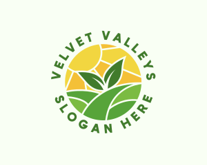 Agricultural Valley Field logo design