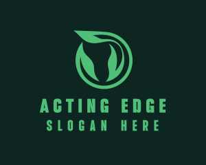 Eco Natural Leaf  logo design