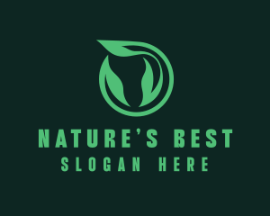 Eco Natural Leaf  logo design