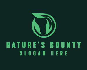 Eco Natural Leaf  logo design