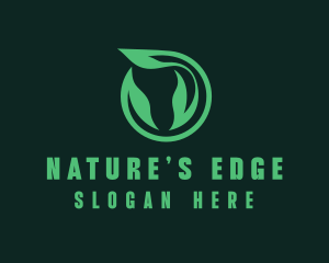 Eco Natural Leaf  logo design