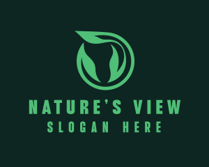 Eco Natural Leaf  logo design