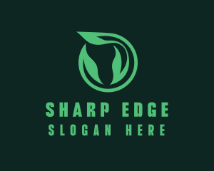 Eco Natural Leaf  logo design