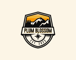 Compass Mountain Travel logo design