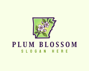 Arkansas Apple Blossom logo design