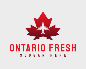 Flying Airplane Canada logo