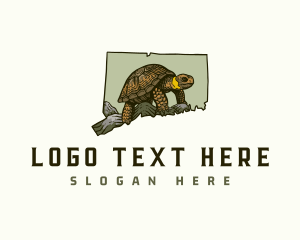 Connecticut Bog Turtle logo