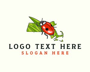 Massachusetts Ladybug Insect logo