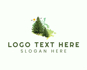 Canadian Cedar Tree logo