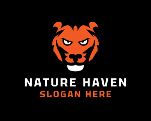 Tiger Safari Wildlife  logo