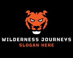 Tiger Safari Wildlife  logo