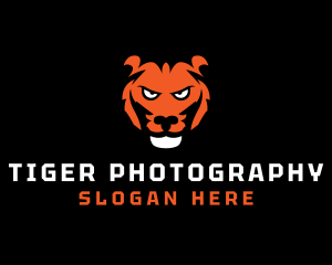 Tiger Safari Wildlife  logo