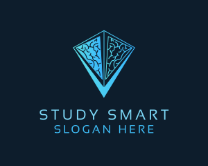 Blue Pyramid Brain logo design