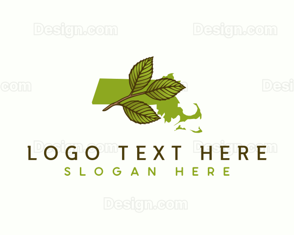 Massachusetts Leaf Plant Logo