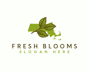 Massachusetts Leaf Plant logo design