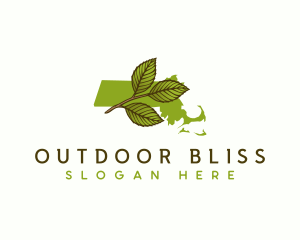 Massachusetts Leaf Plant logo design