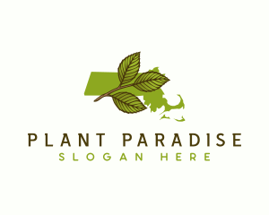 Massachusetts Leaf Plant logo design