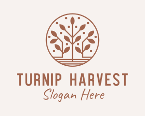 Farm Harvest Plant logo design