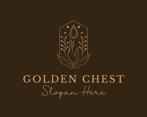 Elegant Ornamental Gemstone logo