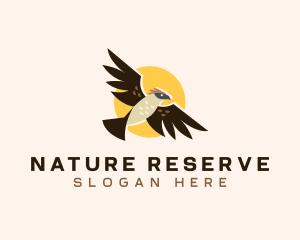 Wild Philippine Eagle  logo design