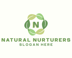 Eco Nature Leaf logo design