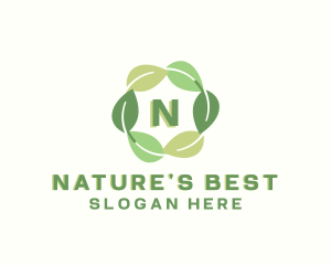 Eco Nature Leaf logo design