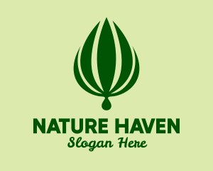 Natural Palm Plant  logo design