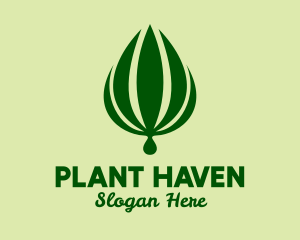 Natural Palm Plant  logo design