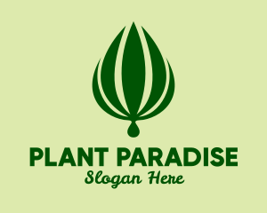 Natural Palm Plant  logo design