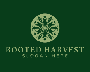 Natural Herbal Plant logo design