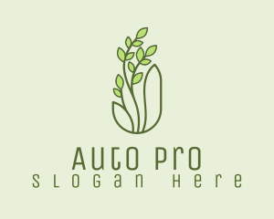 Organic Wellness Plant  Logo