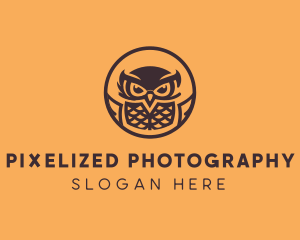 Modern Owl Aviary logo design