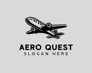 Passenger Flight Plane  logo
