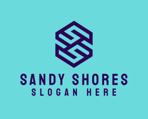 Generic Hexagon Letter SS logo design