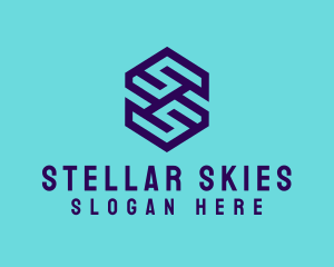 Generic Hexagon Letter SS logo design