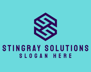 Generic Hexagon Letter SS logo design