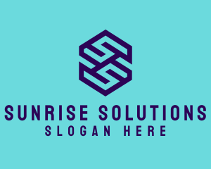 Generic Hexagon Letter SS logo design