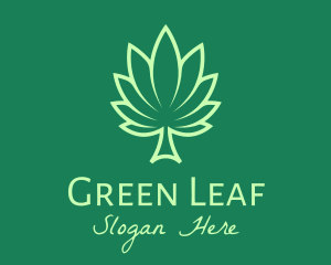 Green Palm Leaf logo design