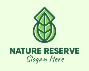 Modern Nature Leaf  logo design