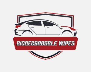 Car Auto Detailing Vehicle Logo