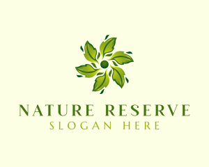 Organic Natural Leaf logo design