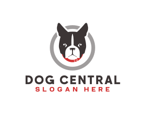 Dog Pet Veterinary logo design