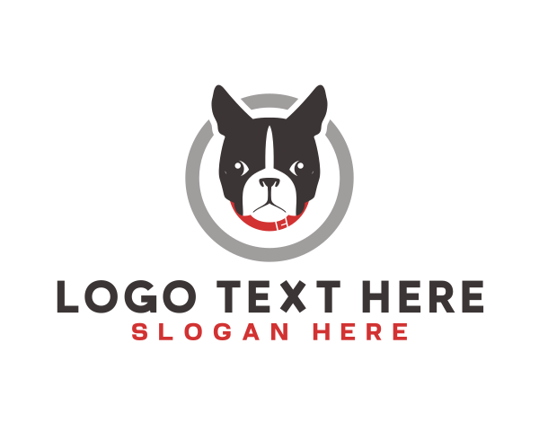 Boston Terrier logo example 2