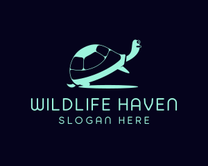 Turtle Biology Wildlife logo design