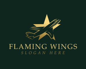 Airplane Star Aviation logo design