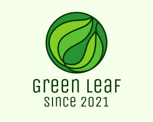 Round Green Leaf logo design