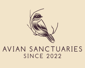 Sparrow Birdwatching Aviary logo